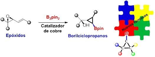 Moléculas rígidas para el desarrollo de nuevos fármacos