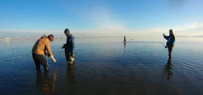 Estudian la cantidad de dióxido de carbono enterrado que existe en la Bahía de Cádiz