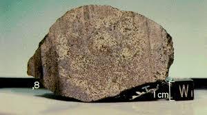 Descubren material orgánico en forma mineralizada en un meteorito marciano encontrado en 1978