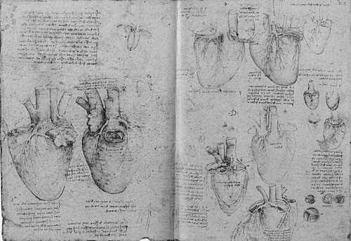 Cinco siglos sin Leonardo, el genio que dibujó las entrañas del cuerpo humano