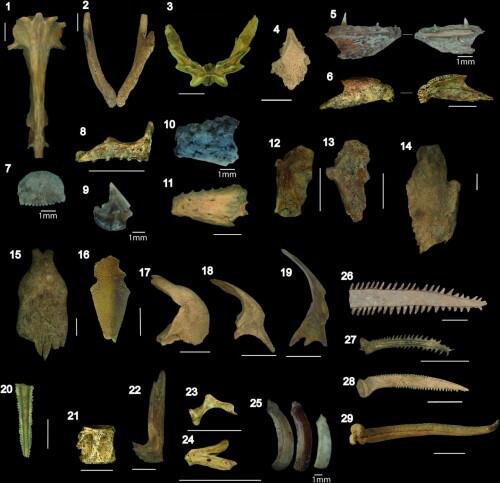 La construcción de estanques para peces permitió la pervivencia humana hace mil años en la llanura boliviana