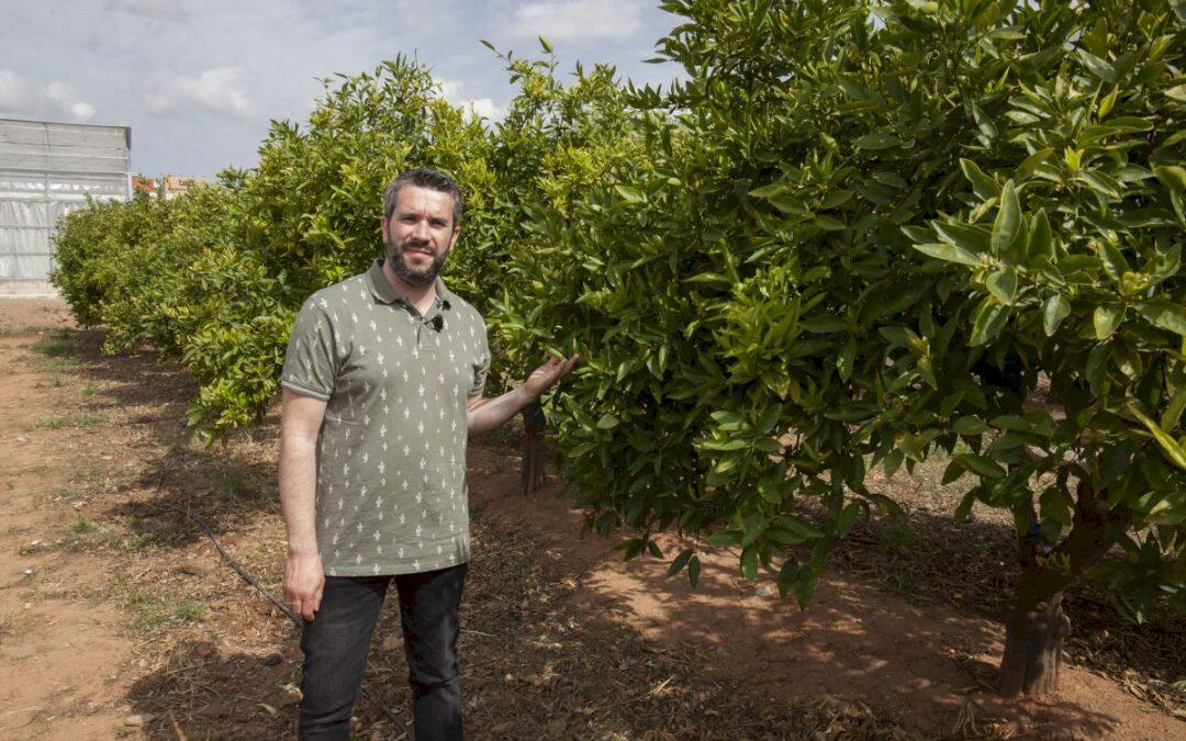 El cambio climático provocará el declive de pájaros y mariposas en el mediterráneo.