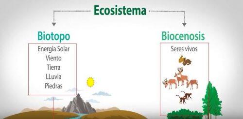 biocenosis-y-biotopo