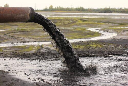 Hábitos para reducir los efectos de la contaminación en el cuerpo