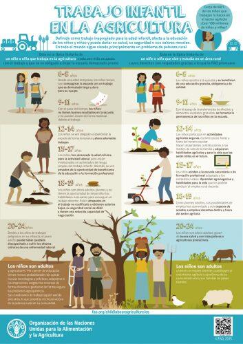 infografia-oit-fao