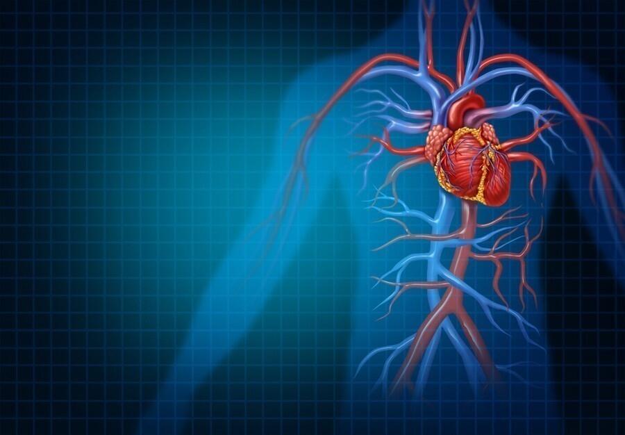 Alimentos para destapar las arterias