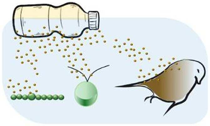 Detectan toxicidad en un tipo de plástico biodegradable muy utilizado