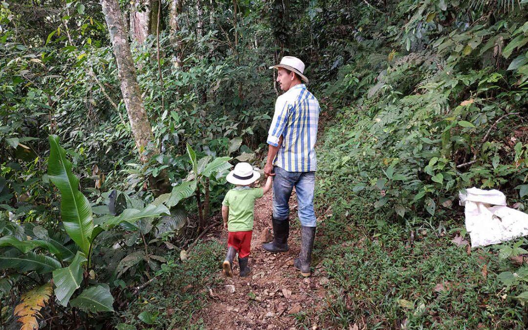 ¿ Por que hay que restaurar cien millones de hectáreas de bosque?