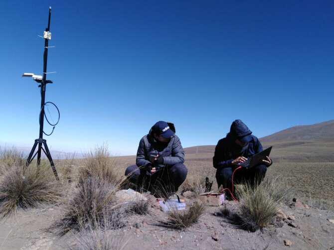 Tecnología para ayudar a la conservación de camélidos