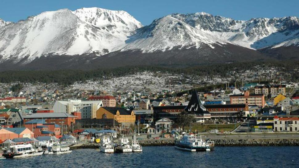 Las islas Malvinas, Flora y fauna.