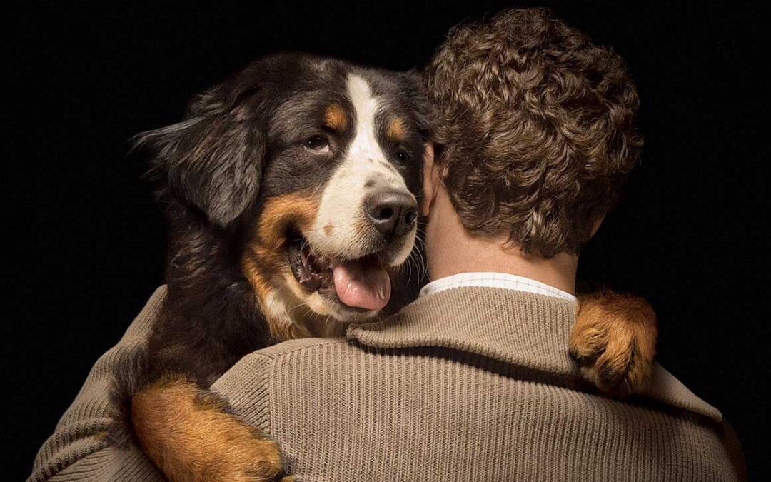 El Día Mundial del Perro, uno de los mejores amigos.