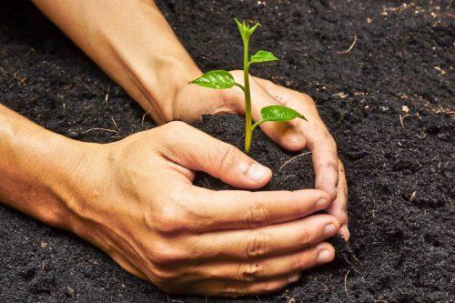 Día Internacional de la Conservación del Suelo..¿Qué debes hacer ?