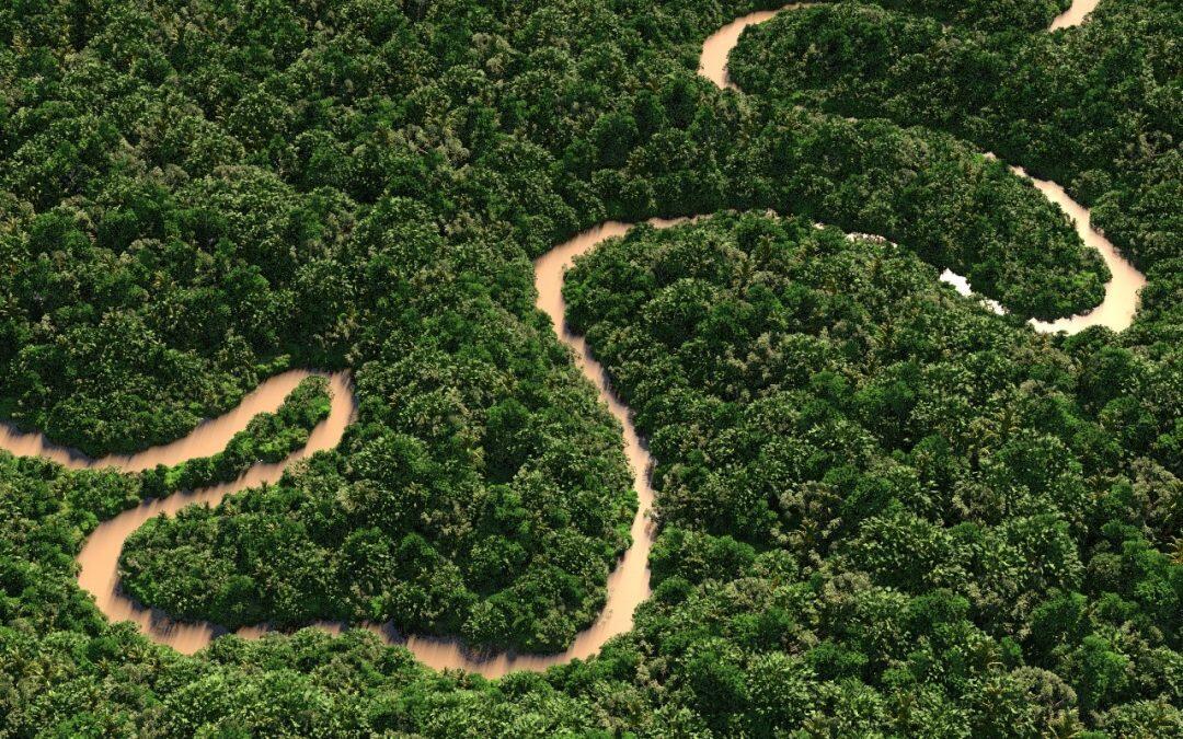 El Amazonas es tan grande que si fuera un país sería considerado el noveno más grande en cuanto a tamaño.