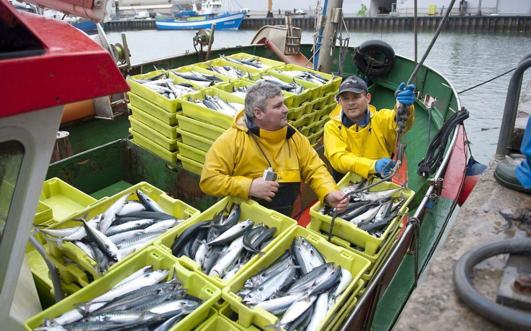 El sobrepesca y el cambio climático, aumentaN el nivel de mercurio en el pescado.