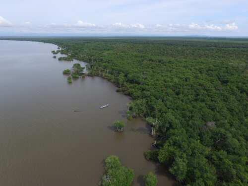 Colombia, despensa de carbono azul