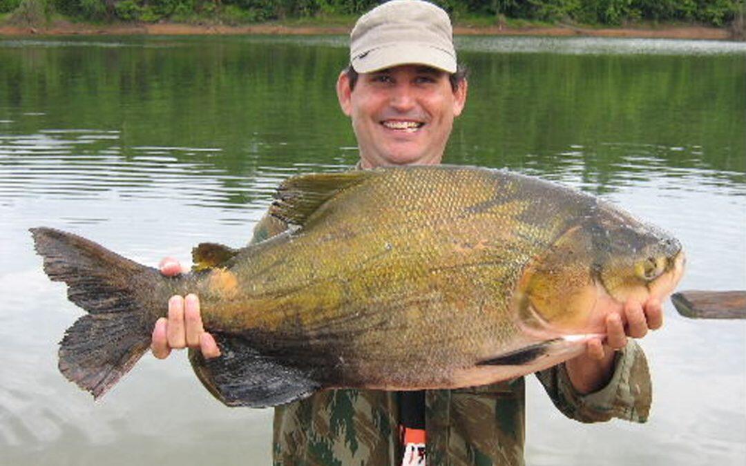 La diversidad de peces del Amazonas, sufre de una disminución leve