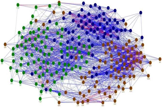 Un software permite comparar más de dos redes complejas a la vez