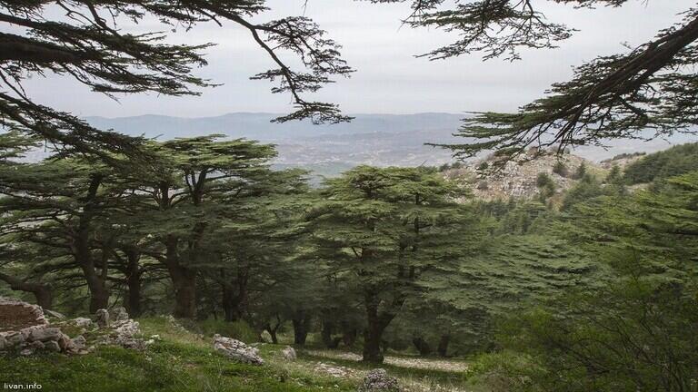 لبنان يبني مختبرا فلكيا في موطن جبران