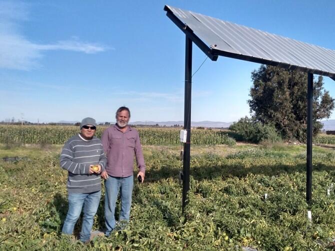 Agricultura Fotovoltaica: una forma de ahorrar agua produciendo energía