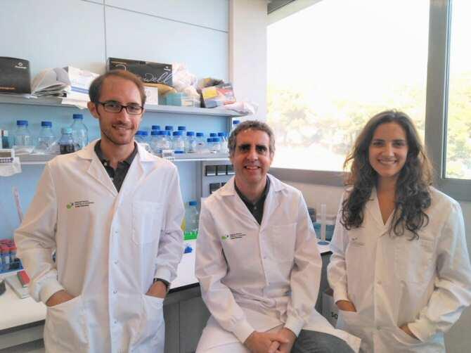 Descubierto un factor que predice una supervivencia larga en pacientes con tumor cerebral