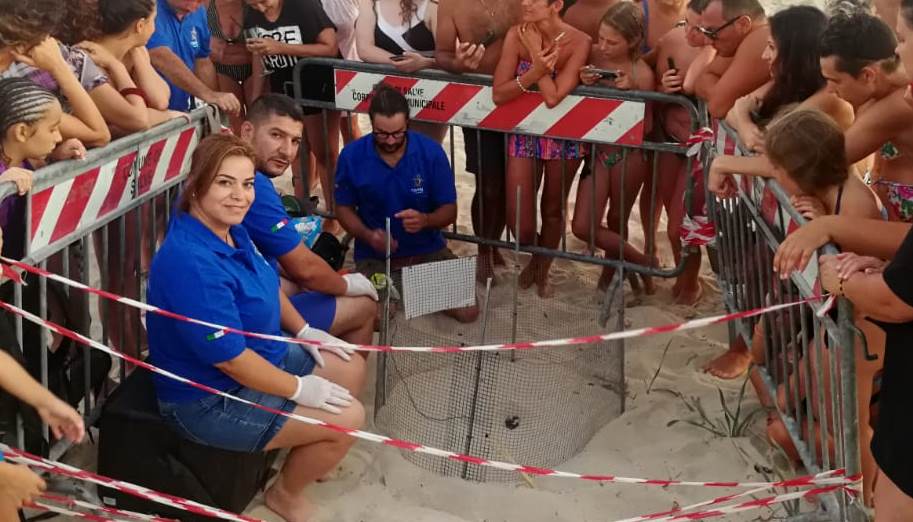 EN SALENTO, EL “MIRACOLO TARTARUGHE”