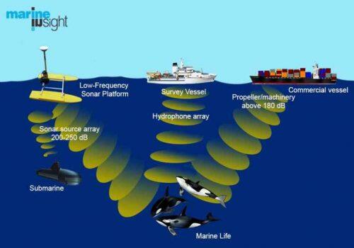 contaminacion-acustica-oceano1