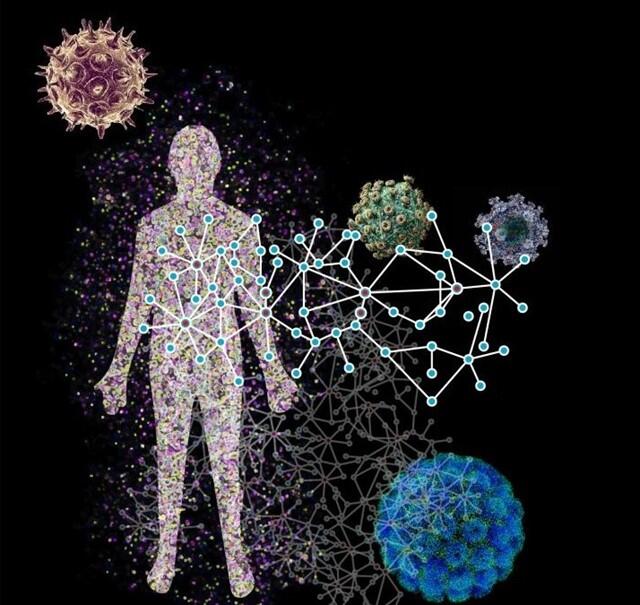 Un gran mapa muestra cómo los virus infectan a los humanos