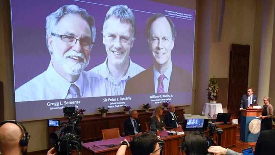 Nobel de Medicina 2019 a tres científicos por descubrir “cómo sienten las células y se adaptan al oxígeno disponible”