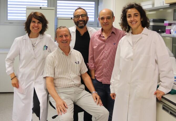 Investigadores de la UPV, el CSIC y el IVIA abren una nueva vía para acabar con la alternancia de cosechas en cítricos