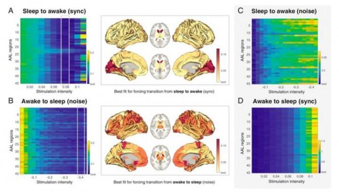 Científicos logran predecir las áreas cerebrales a estimular para forzar la transición de un estado cerebral a otro