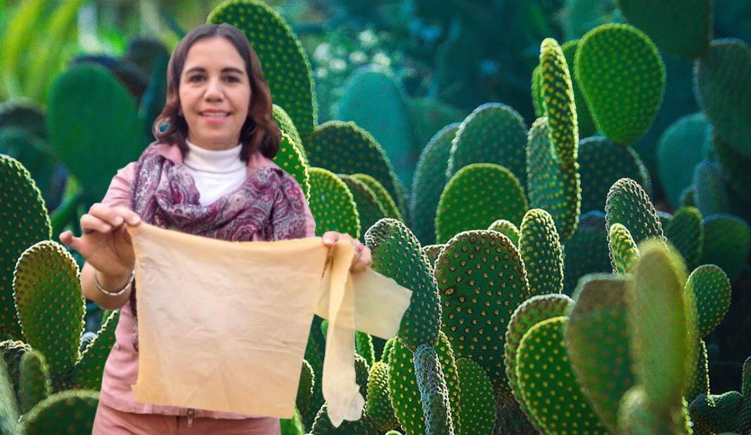 El nopal, la materia prima de un nuevo plástico biodegradable que desarrolló una mexicana