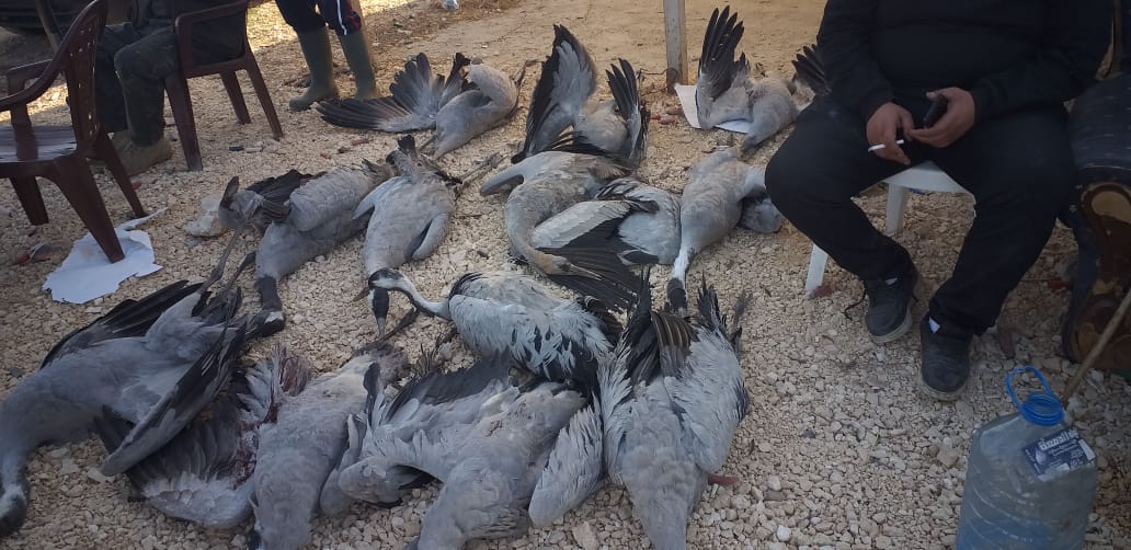 جمعية حماية الطبيعة في لبنان تدعو السلطات اللبنانية الى انفاذ قانون الصيد البري