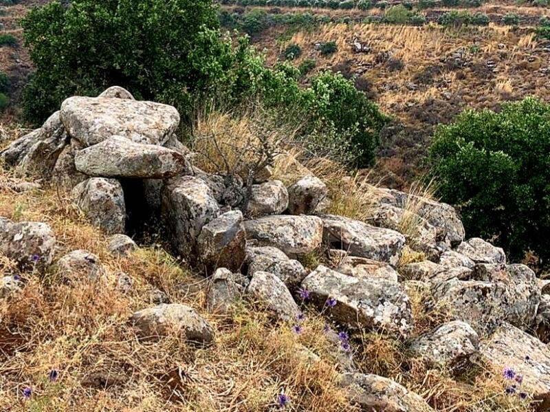 جرف أهم القبور الميغاليتية في عكار بحجة استصلاح الأرض