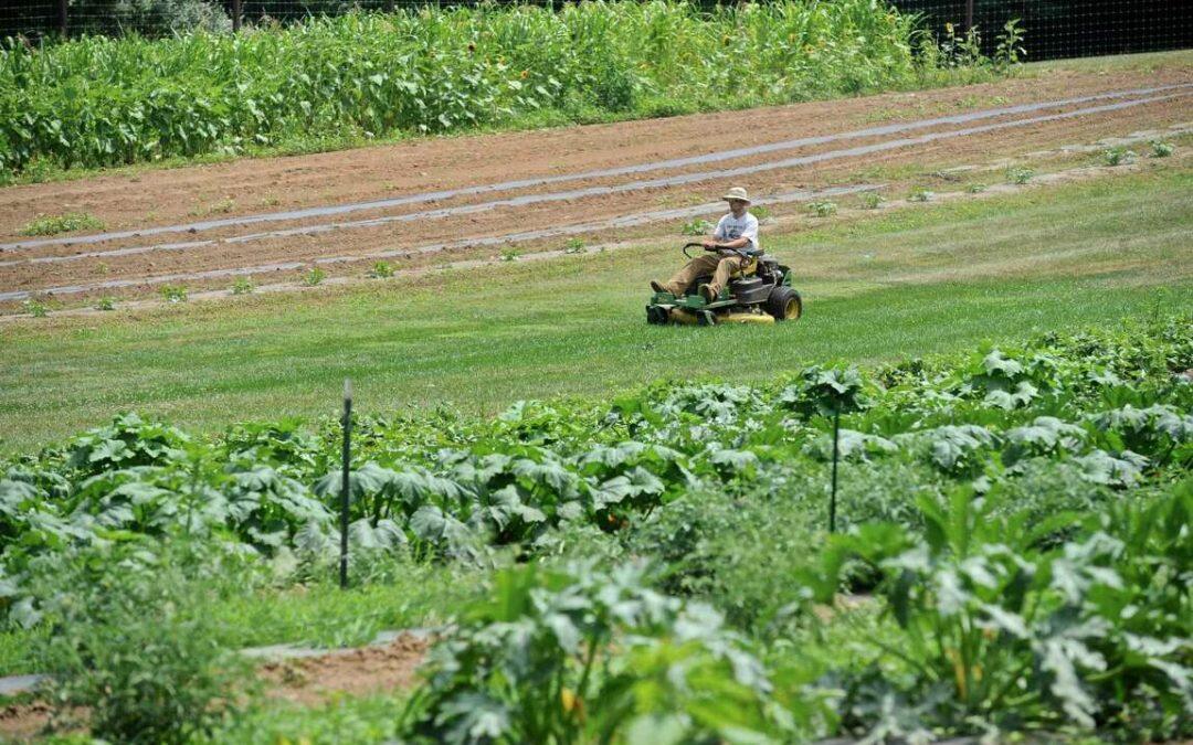 Group wants New Milford to join ‘Greenwave Movement’ to educate about farming, healthy agriculture