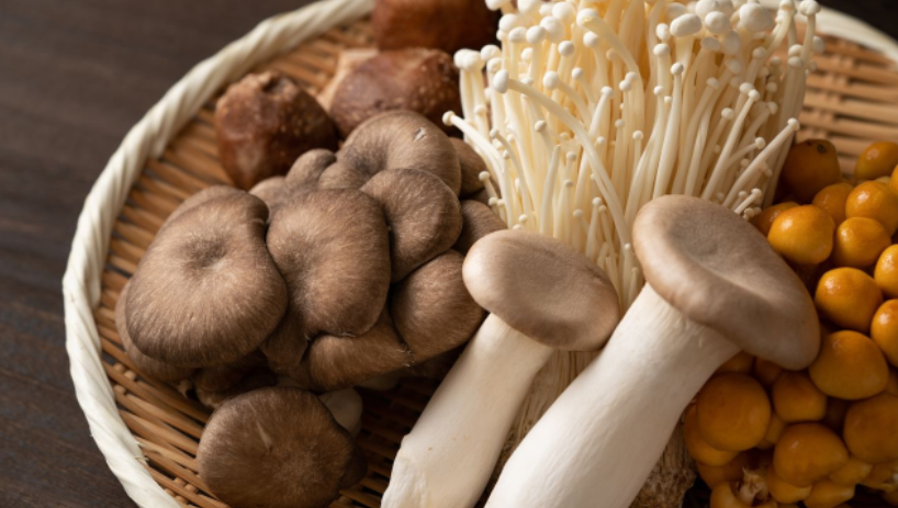 Les champignons dans la cuisine japonaise : des saveurs multiples