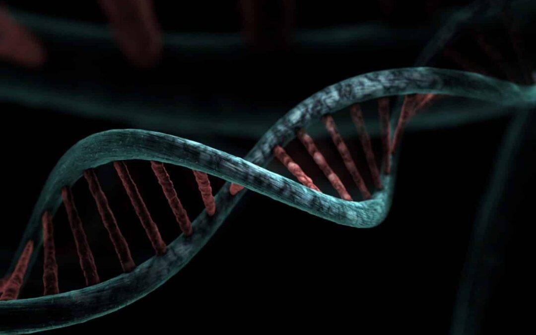 Le génome humain est enfin complètement séquencé