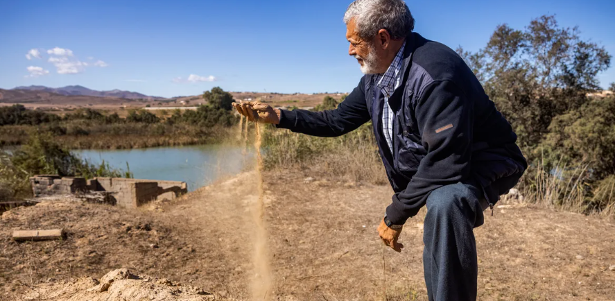 الزراعة المستدامة في المغرب هي الحل لضمان الأمن الغذائي