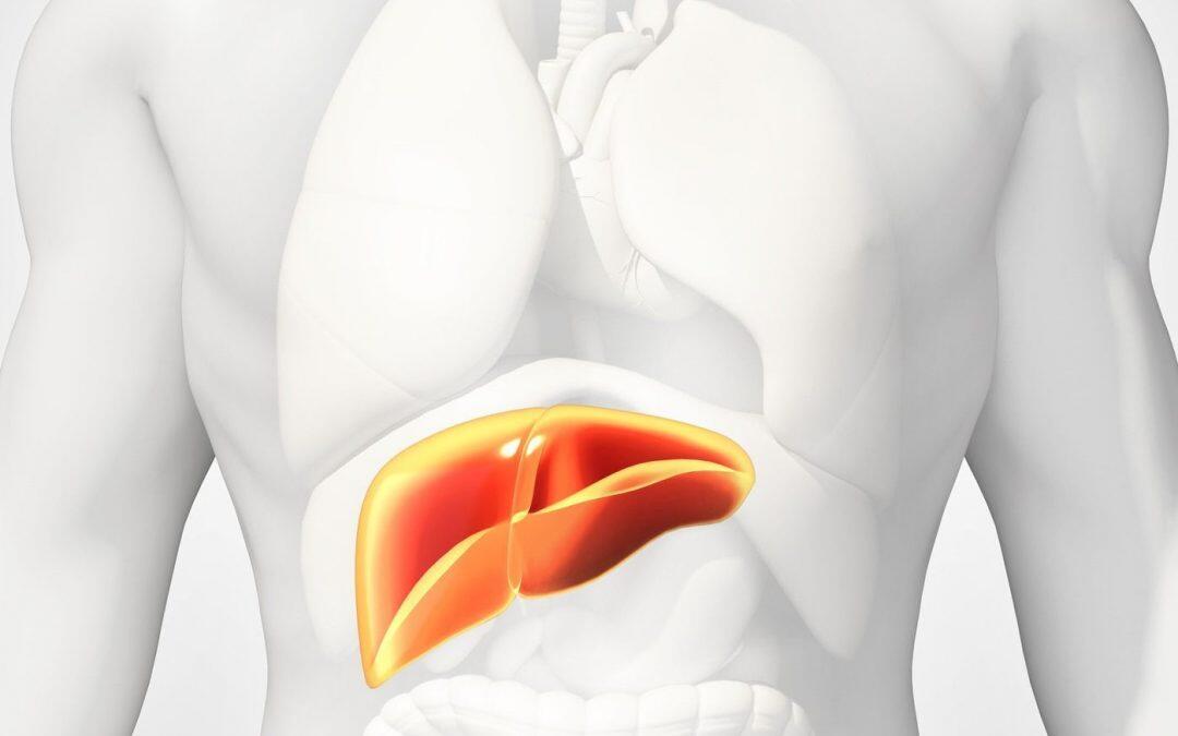 خطوات ضرورية لحماية الكبد.. تعرّف إليه