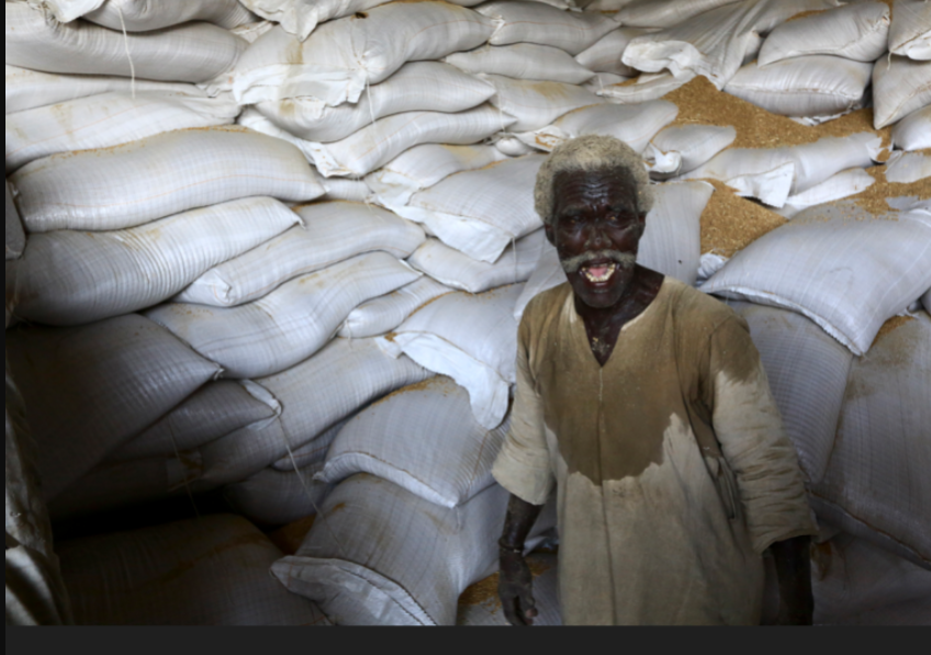 السودان.. أزمة قمح وخبز والمزارعون لا يستطيعون تصريف إنتاجهم