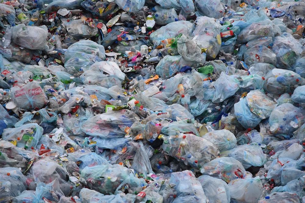 هيئة البيئة-أبوظبي: تجنُّب استخدام 87 مليون كيس بلاستيكي لمرة واحدة منذ حزيران (يونيو) الماضي